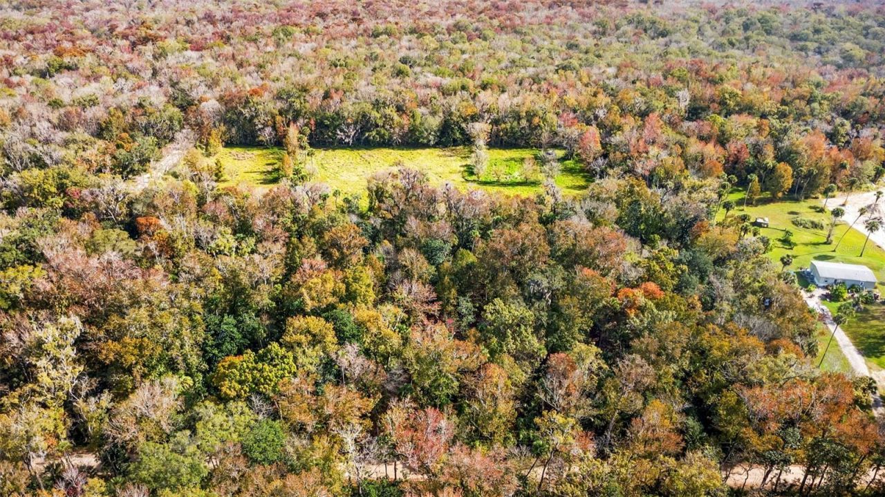 Volco Road, Edgewater, FL 32141 Photo