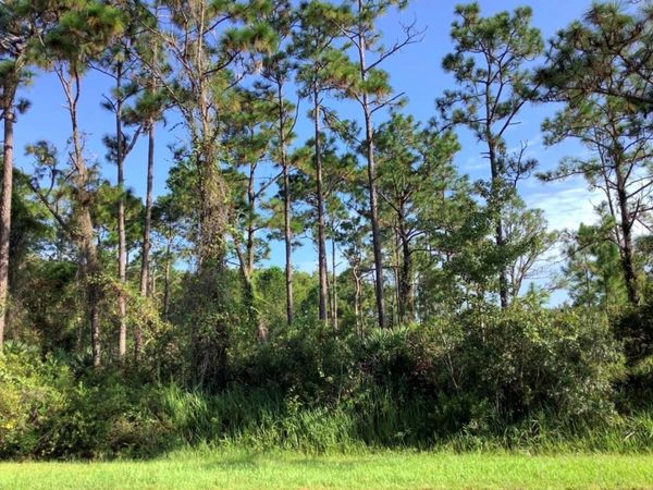 QUINELLA STREET, ORLANDO, FL 32833