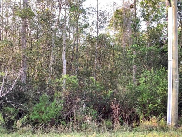 20828 QUINLAN STREET, ORLANDO, FL 32833