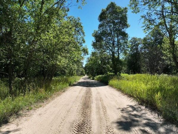 11722 Behlke Road SE, Fife Lake, MI 49633