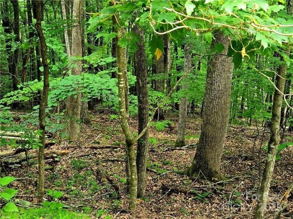 TBD Red Fox Ridge, Boone, NC 28607