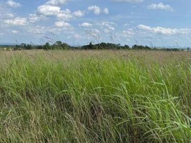 Lot 1 GLEBE DRIVE, CLEAR BROOK, VA 22624