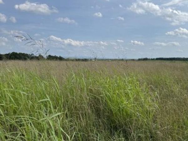 Lot 2 GLEBE DRIVE, CLEAR BROOK, VA 22624