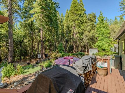 23201 Fortress Ct, Pioneer, CA 95666 Photo