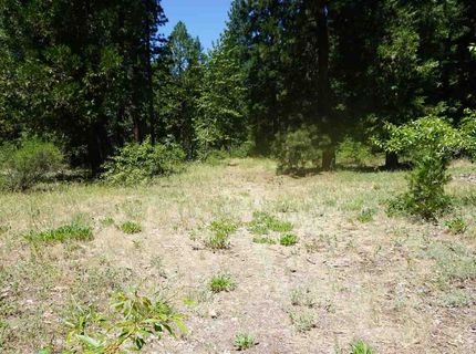 59555 Highway 70, Cromberg, CA 96103 Photo