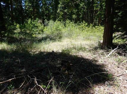 59555 Highway 70, Cromberg, CA 96103 Photo
