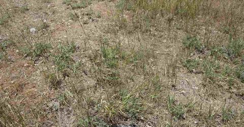 59555 Highway 70, Cromberg, CA 96103 Photo
