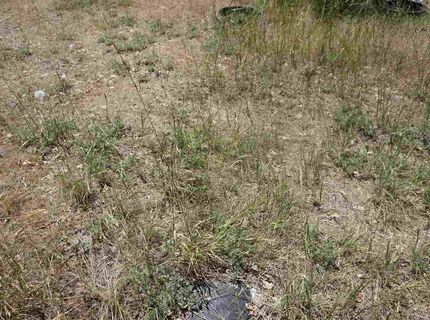 59555 Highway 70, Cromberg, CA 96103 Photo