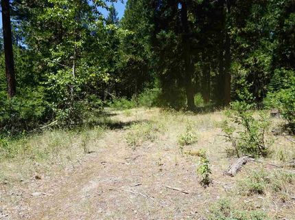 59555 Highway 70, Cromberg, CA 96103 Photo