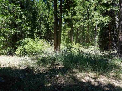 59555 Highway 70, Cromberg, CA 96103 Photo