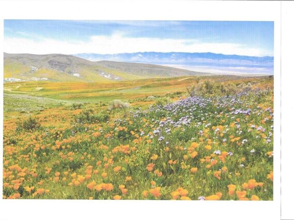 0 Cooperstown Rd, California Valley, CA 93453