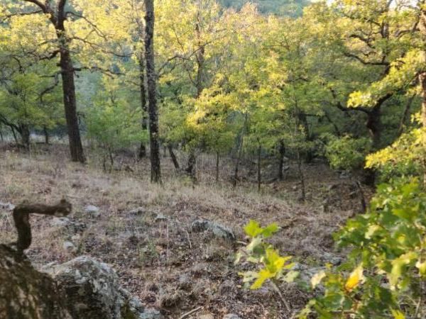 411 Mountain View Court, Sunset, TX 76270