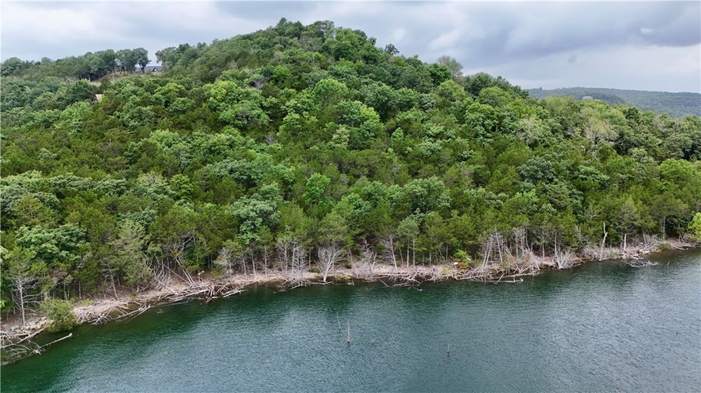 Lot 9 Cedar Forest Drive, Garfield, AR 72732 Main Photo