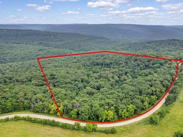 10347 Devils Den Road, Winslow, AR 72959