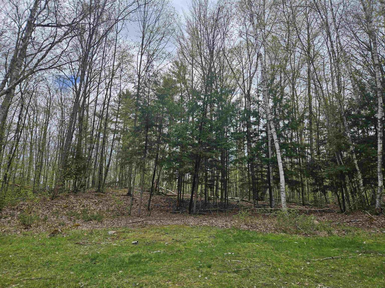 Lot 123 Paulsen Circle, Haverhill, NH 03765 Main Photo