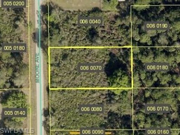 2010 Moore AVE, ALVA, FL 33920
