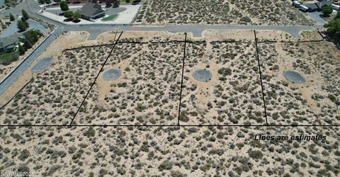 1537 W High Point Court, Unit Lot 3, Minden, NV 89423 Photo