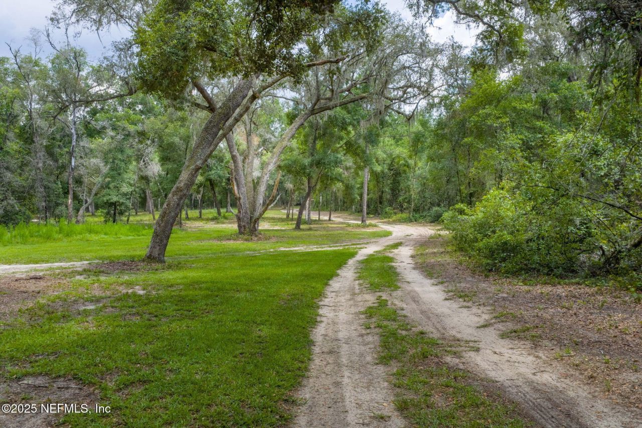 1540 Baden Powell Road, Hawthorne, FL 32640 Photo