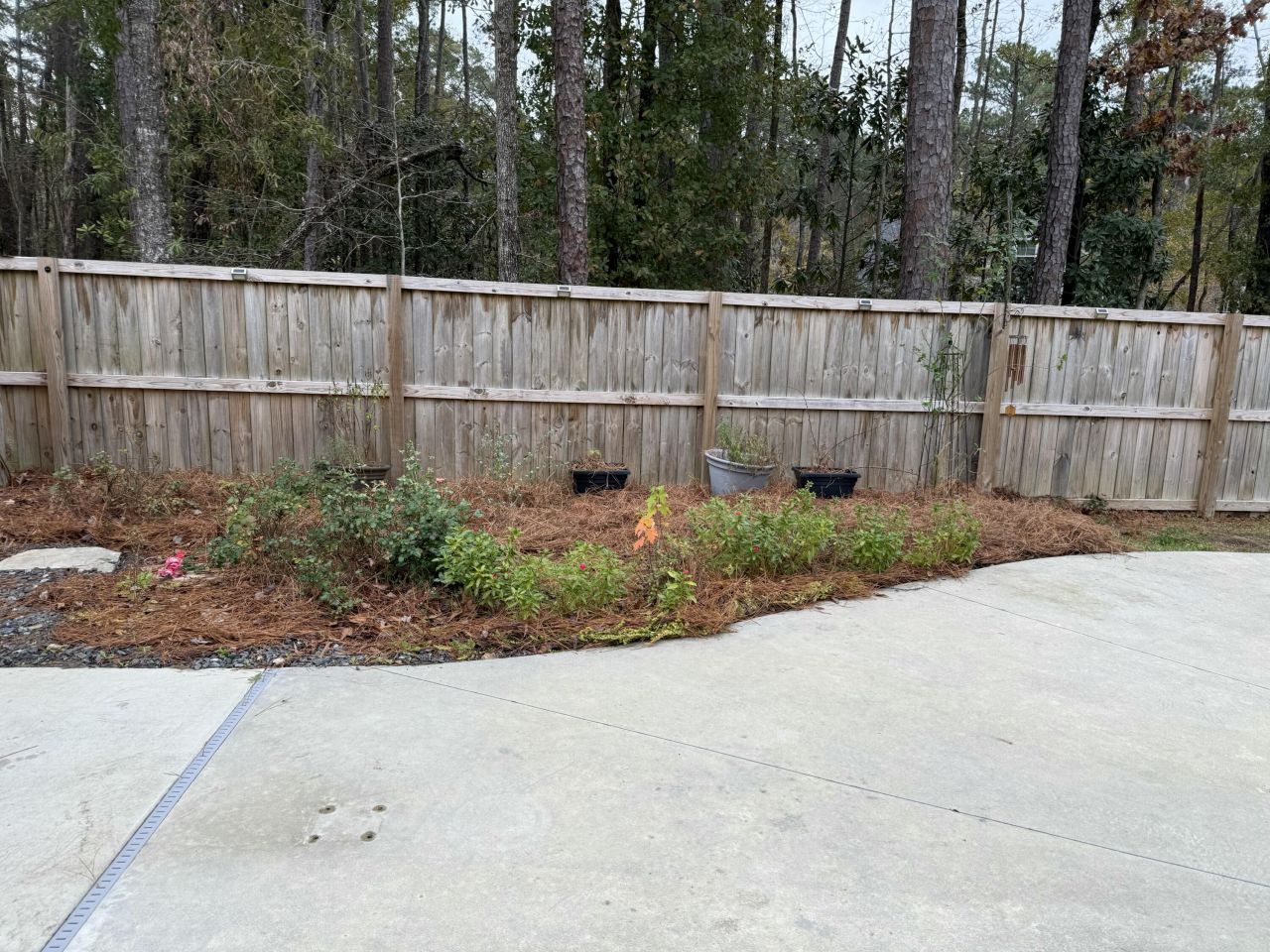 206 Almond Court Photo 42