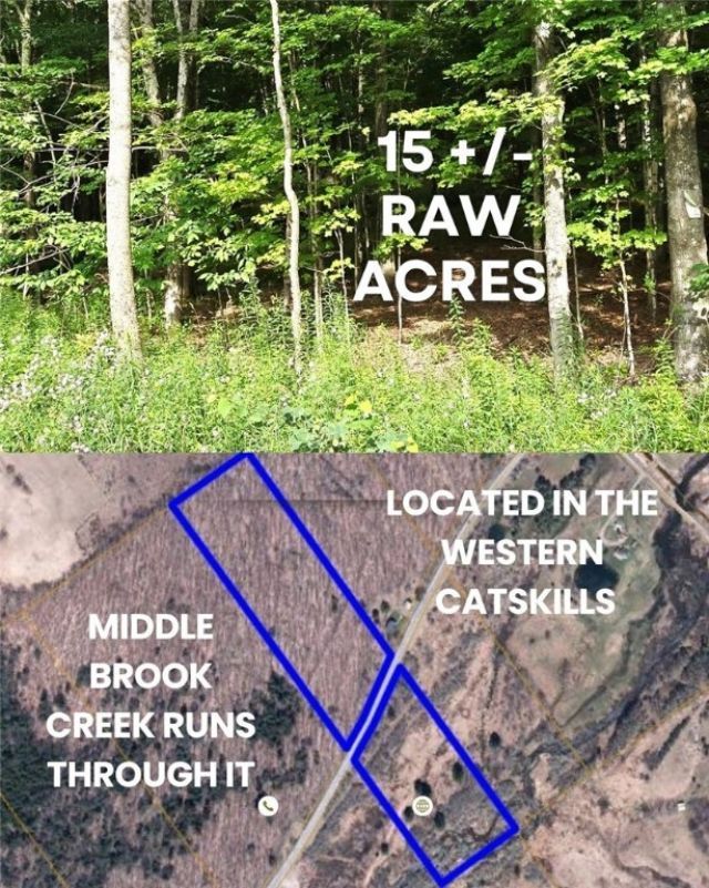 County Roue 29, Harpersfield, NY 12093 Main Photo