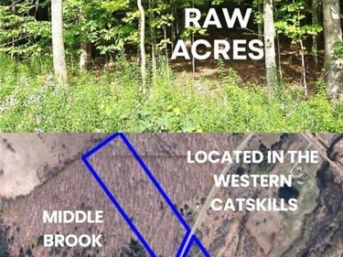 County Roue 29, Harpersfield, NY 12093