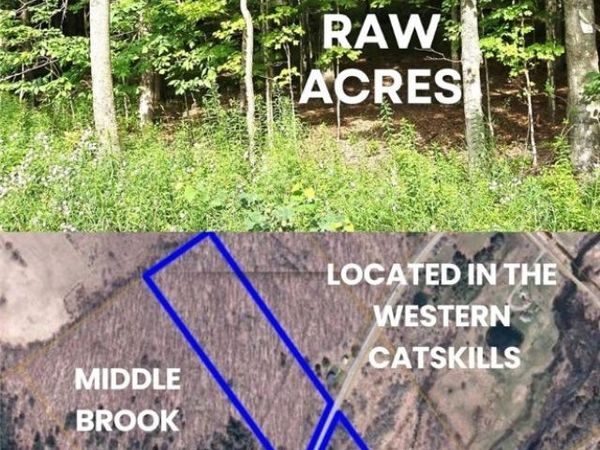 County Roue 29, Harpersfield, NY 12093