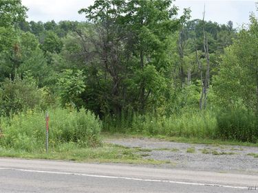 10568 Rt-16, Chaffee, NY 14030