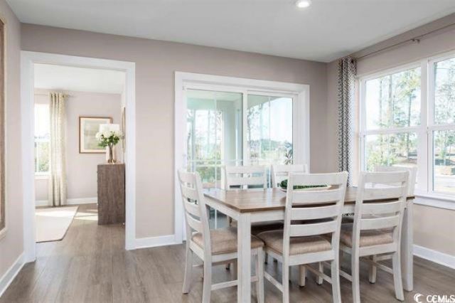 505 Ryegrass Way Photo 7