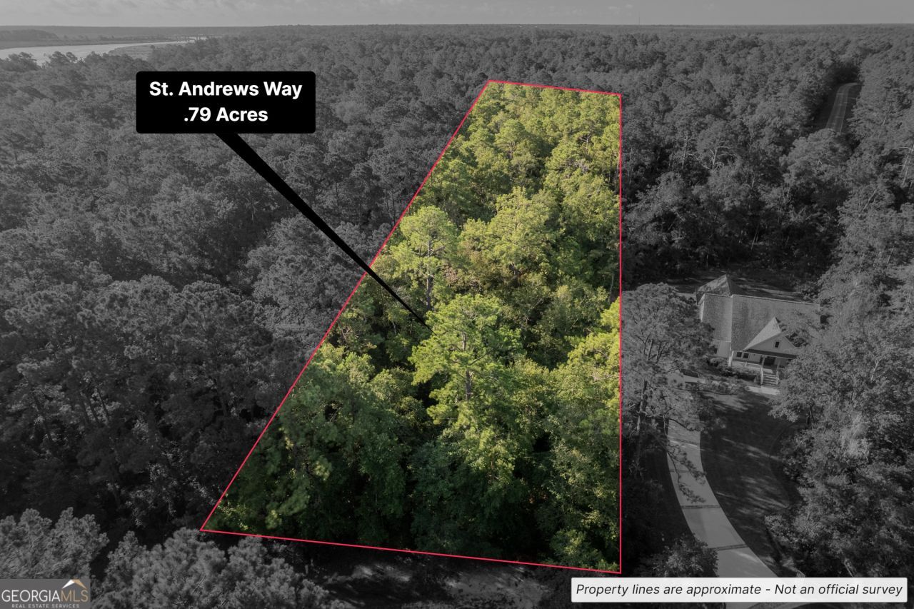 Lot 2 St Andrews Way, Woodbine, GA 31569 Main Photo
