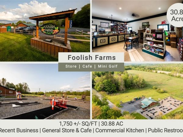 1364 County Highway 12, Mount Vision, NY 13810