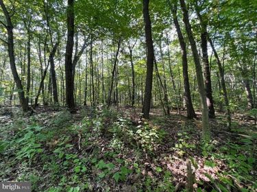 117 & 118 KITTANNING (OVERLAND PASS) RUN, CLAYSBURG, PA 16625