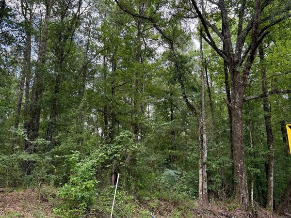 2194 Ms Hwy 570, Summit, MS 39666