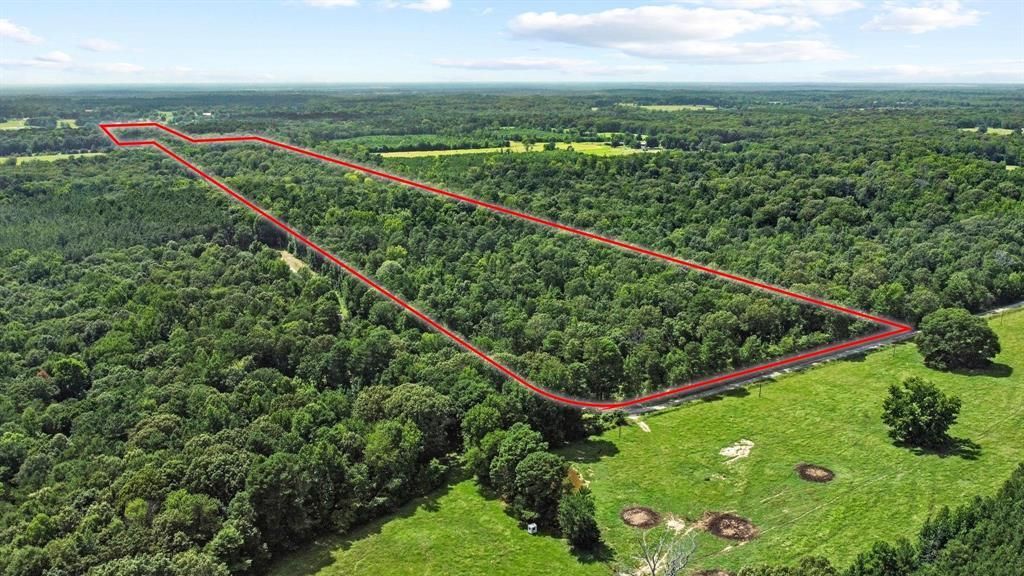 0000 County Road 4418, Avery, TX 75554 Main Photo