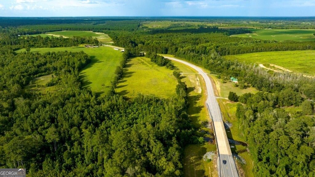 0 Hwy 319-441, Jacksonville, GA 31544 Main Photo