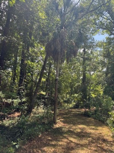 00 Rutledge Drive Photo 10