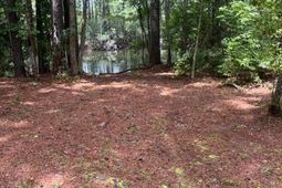 00 Rutledge Drive photo 4