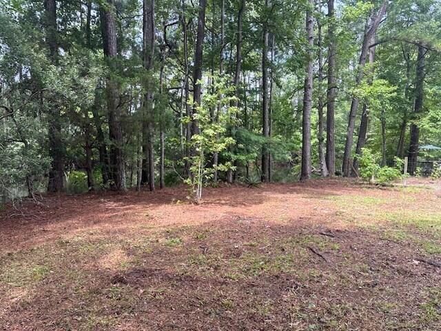 00 Rutledge Drive Photo 4