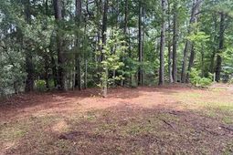 00 Rutledge Drive photo 4