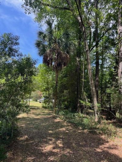 00 Rutledge Drive Photo 7