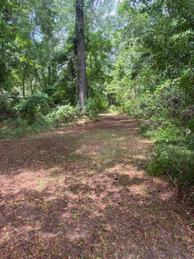 00 Rutledge Drive Photo 9