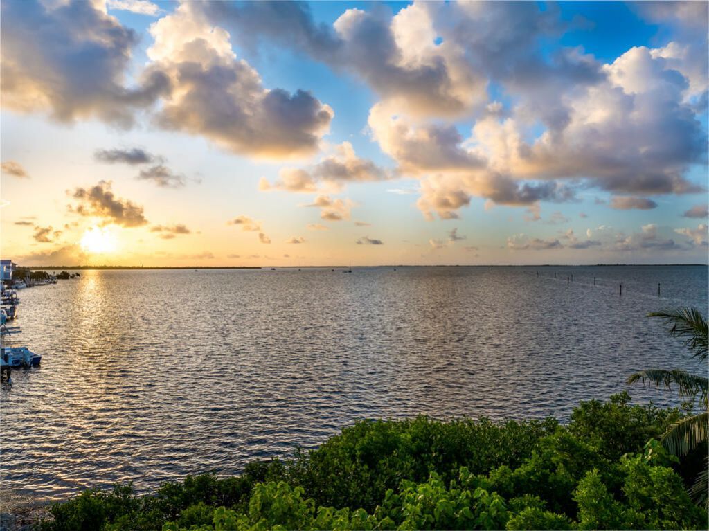 Dominica Lane, Ramrod, FL 33042 Photo