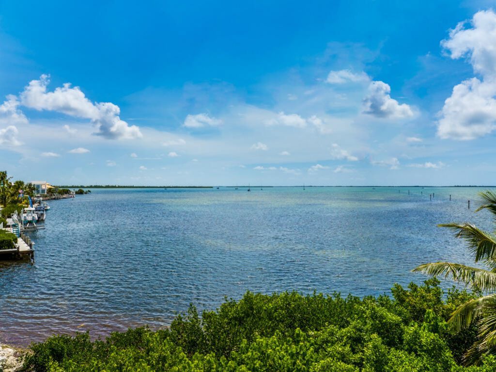 Dominica Lane, Ramrod, FL 33042 Photo