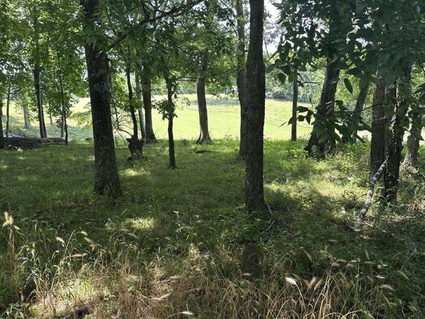 walelu trail Tr, Vonore, TN 37885