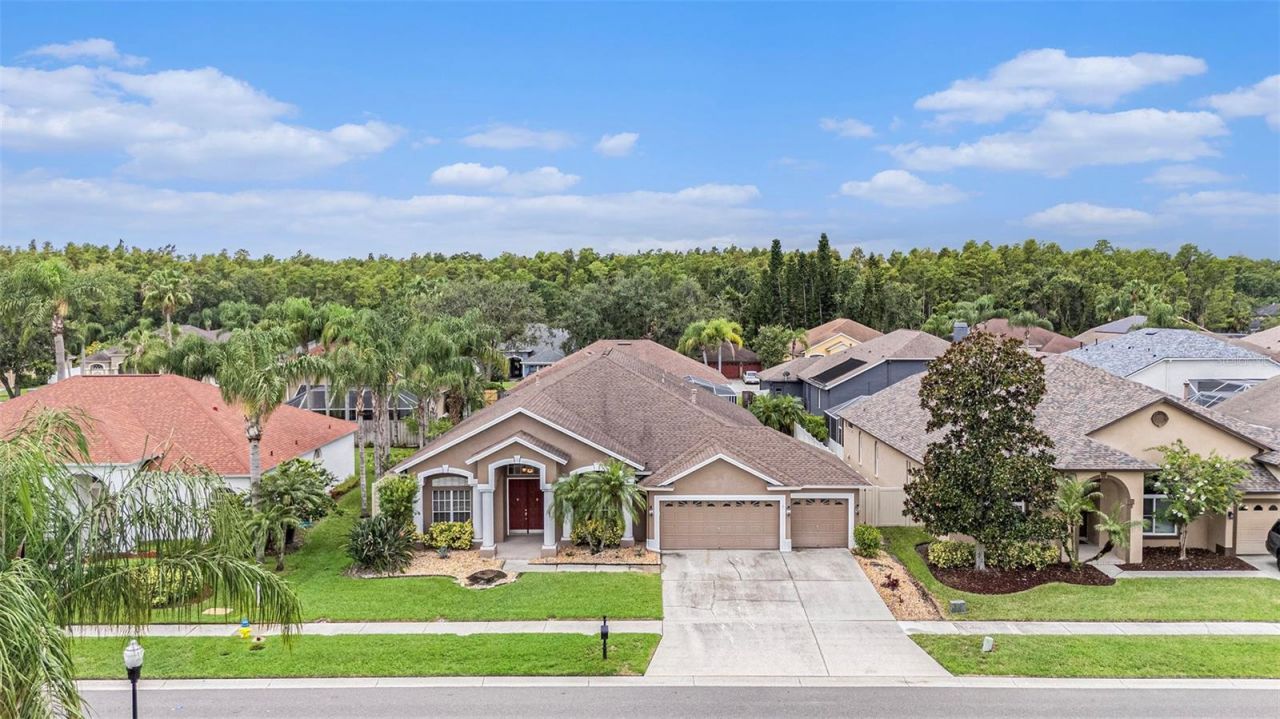 10019 Oxford Chapel Drive, Tampa, FL 33647 Main Photo