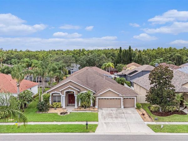 10019 OXFORD CHAPEL DRIVE, TAMPA, FL 33647