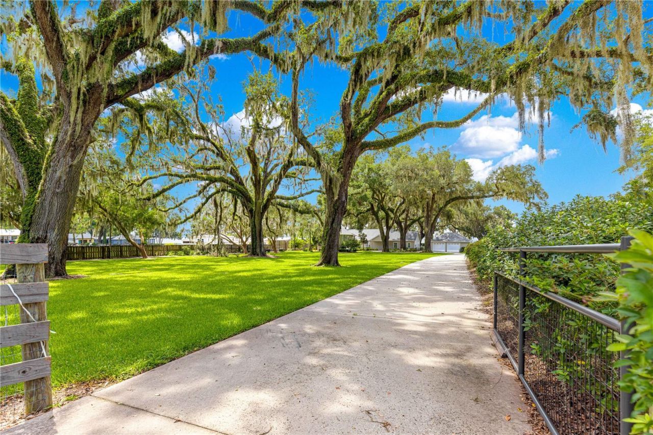 12360 E Highway 25, Ocklawaha, FL 32179 Photo