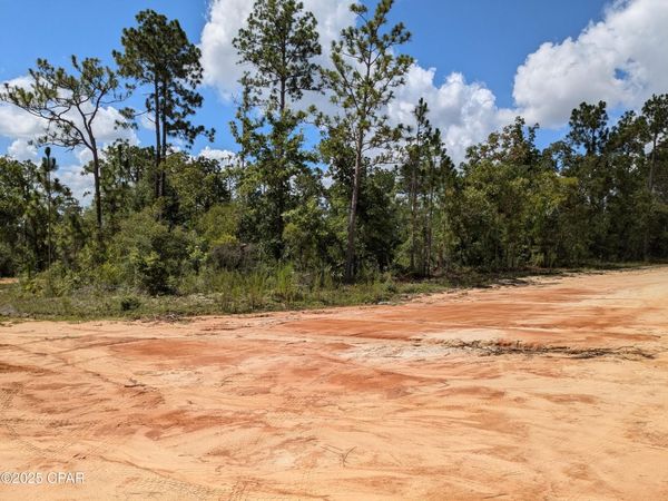 0 Castle CR Circle, Alford, FL 32420