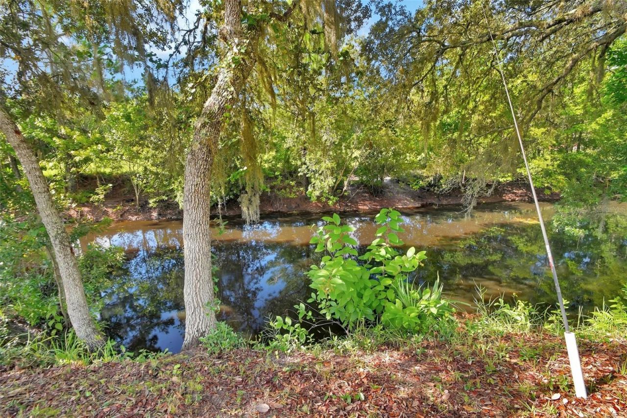 22040 Blue Creek Lodge Road, Astor, FL 32102 Photo