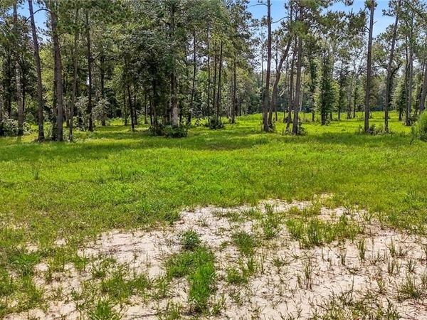 39482 LEE LANDINGS Road, Ponchatoula, LA 70454