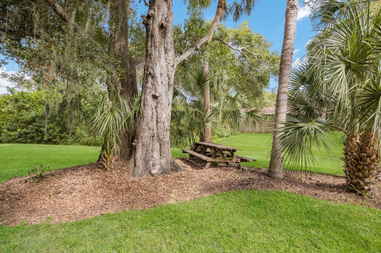 500 N Jefferson Avenue, Unit H1, Sarasota, FL 34237 Photo